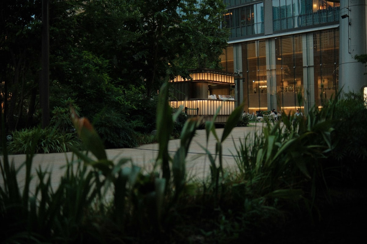 Rooftop garden with native plantings and shaded seating areas