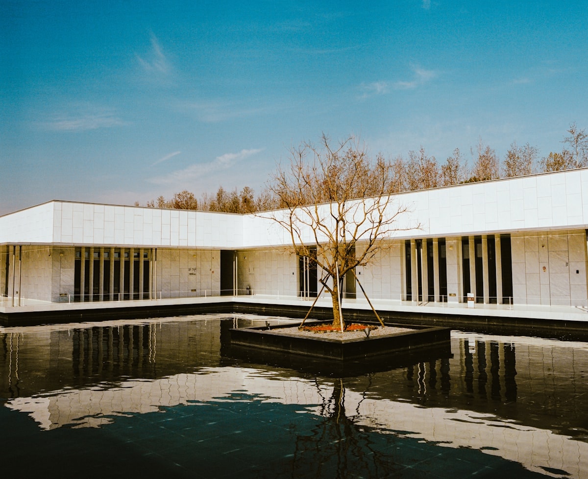 Central courtyard with water feature and mature olive tree
