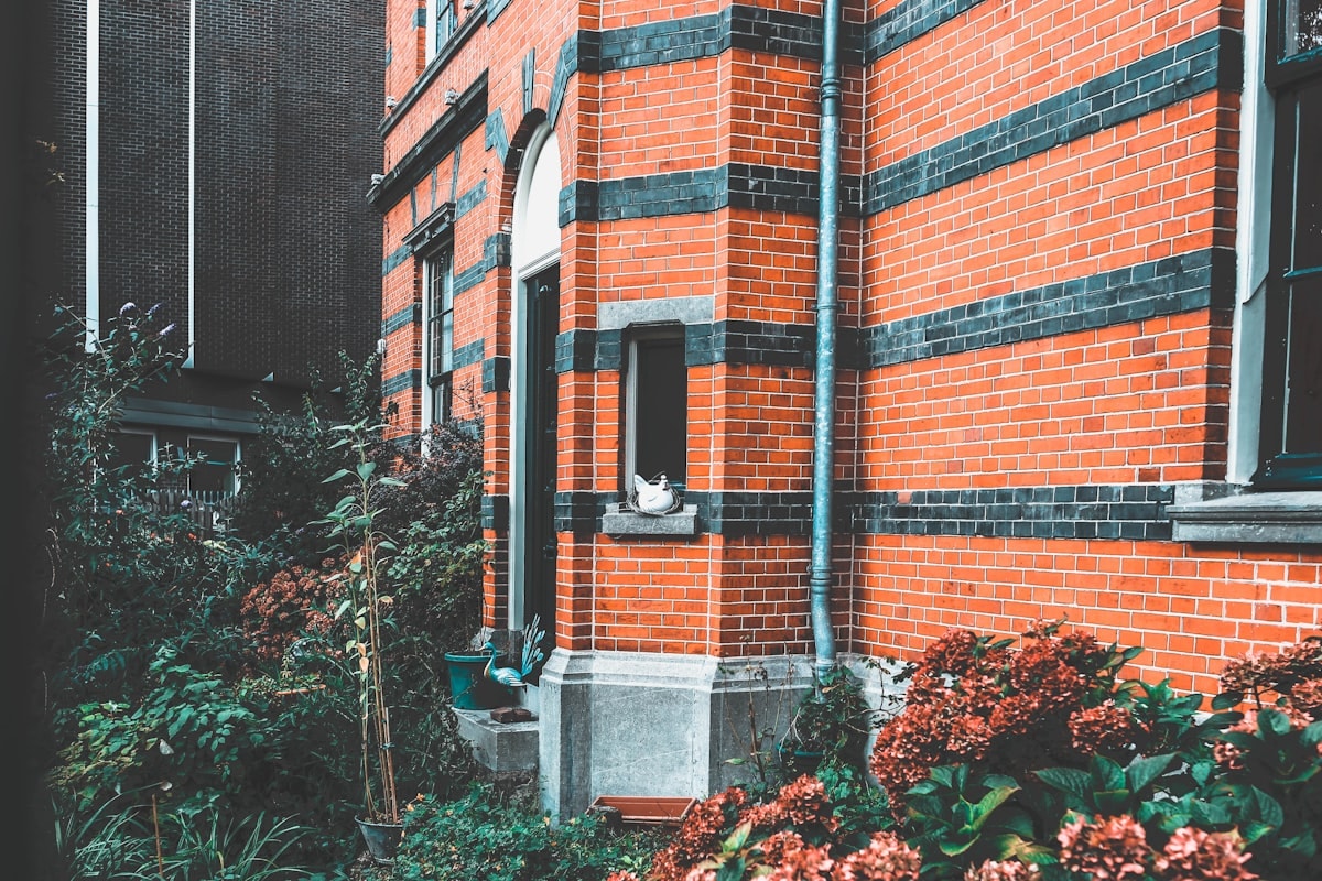 Close-up of limestone texture meeting cedar wood trim